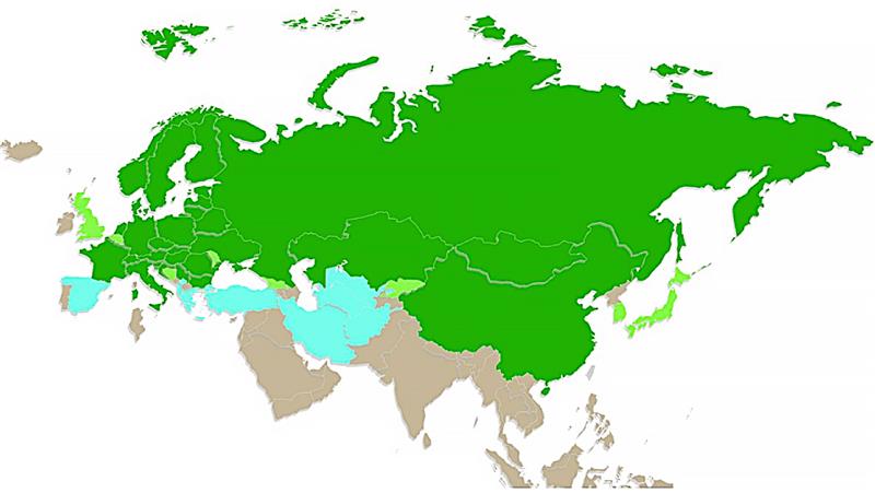 Kleszczowe zapalenie mózgu w Europie i Azji